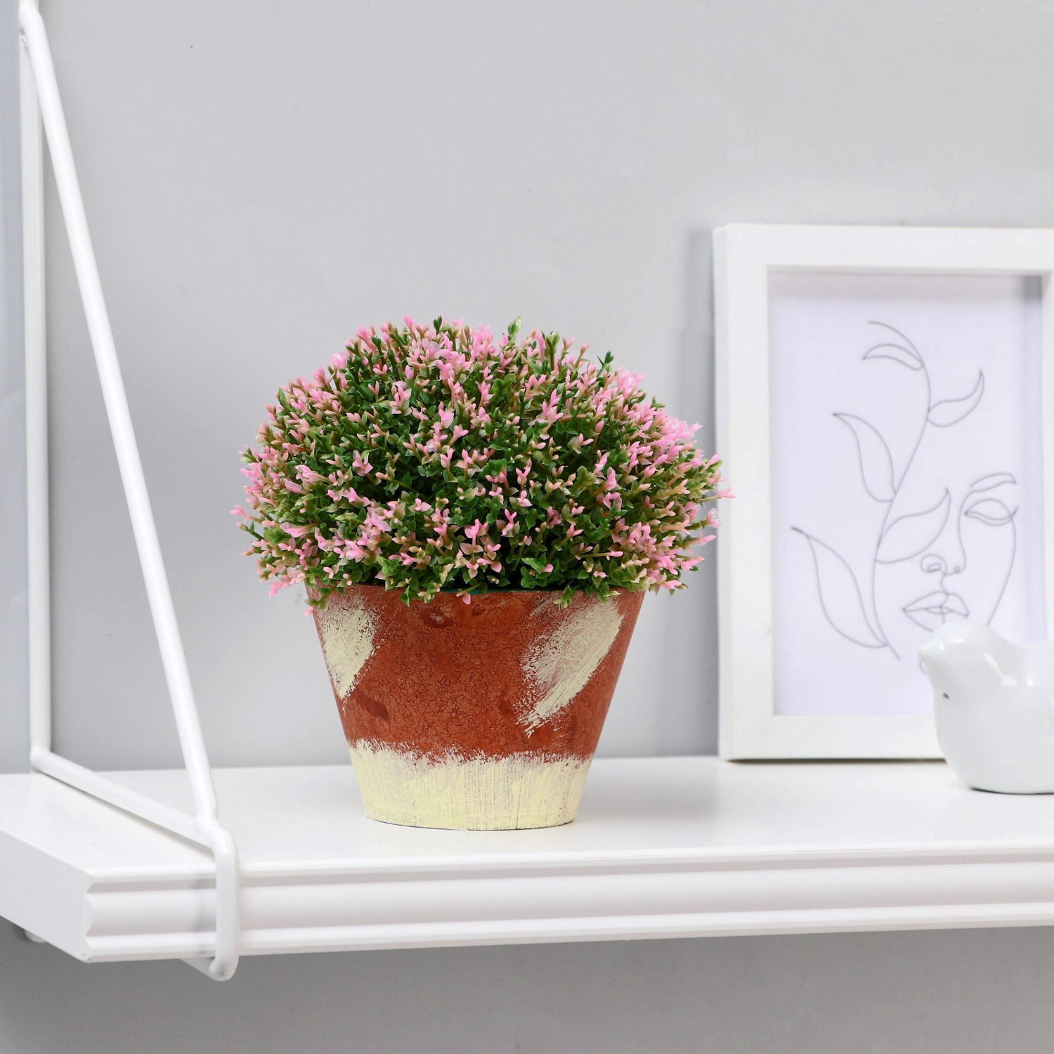 Бонсай в горшке "Самшит" 12х12 см, микс  5201996