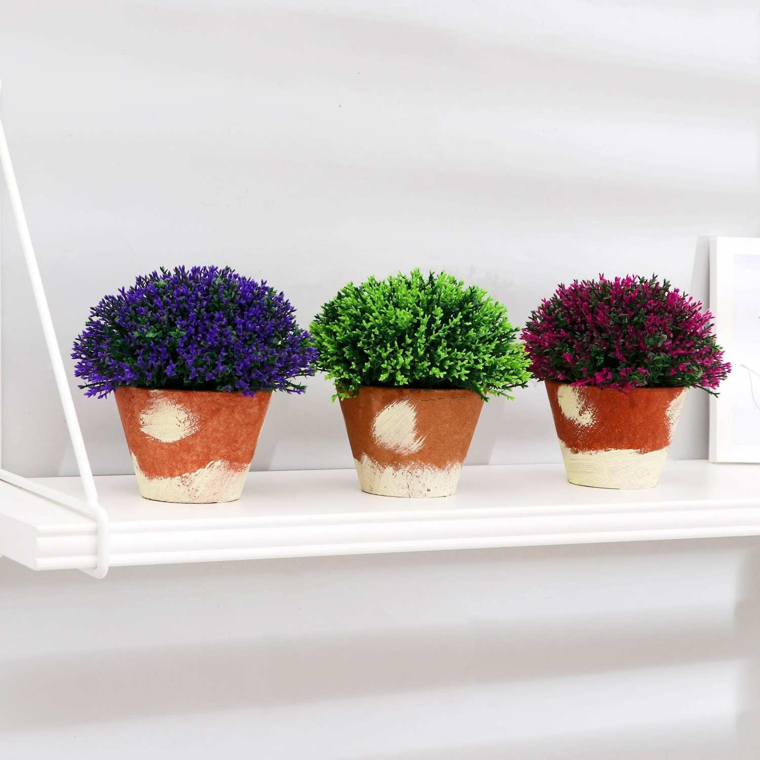 Бонсай в горшке "Самшит" 12х12 см, микс  5201996