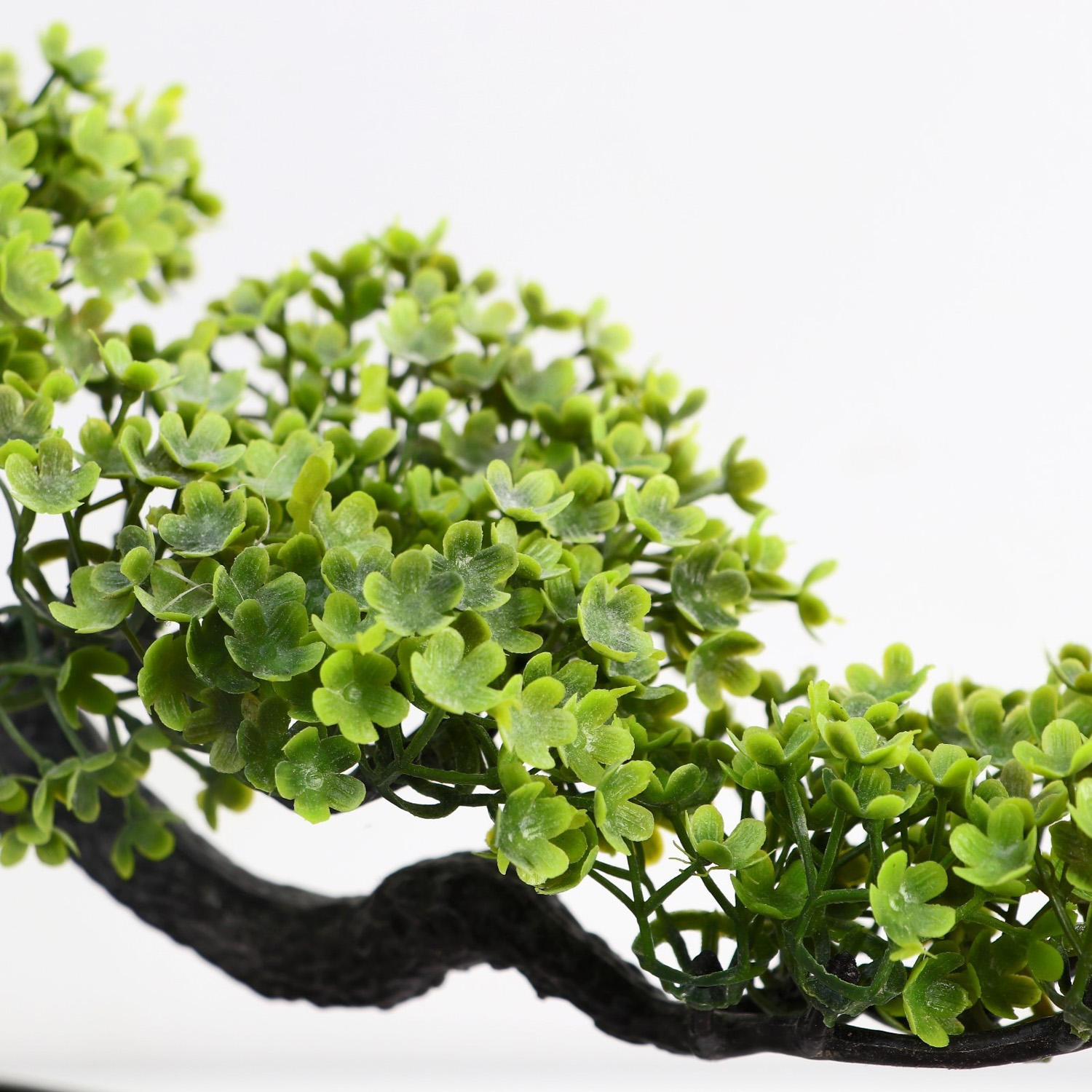 Бонсай в горшке "Дерево Делоникс" 10,5х15 см   10084581