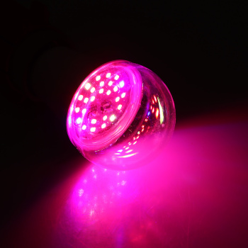 Фитолампа светодиодная Smartbuy, Е27, груша A60, 11 Вт