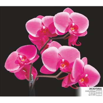 Фотообои Симфония К-006 "Экзотика" 2,1*2,0 м (6 л.) *1(туба с клеем)