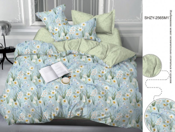 Постельное белье евро сатин LUXOR рис.2565-1 нав70*70,пр215*240