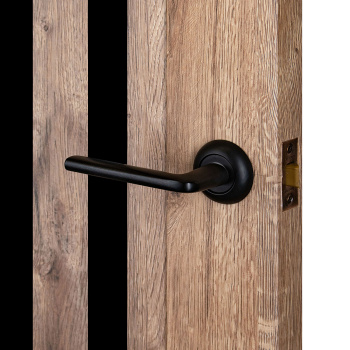 Дверное полотно глухое 2000х600х40 мм BROZEX-WOOD Estetica 303, канадский дуб