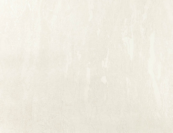 Обои флиз "AS Палитра" Аспект Юнион (беж.) 70672-21 1,06*10м *1/6