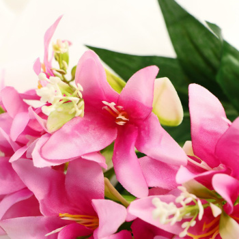 Букет "Лилия галант" 7х28 см, микс  9789664