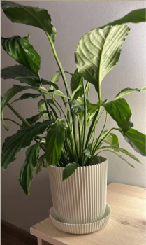 Кашпо пластм. "Gaufre" 1,4л d верха 135мм h135мм с поддоном Латте 802--42 (Tek.A.Tek) *1/30